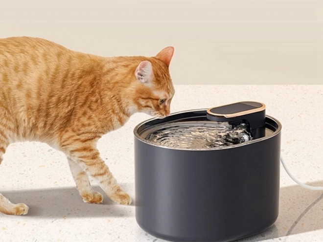 Fontaine automatique pour animaux de compagnie