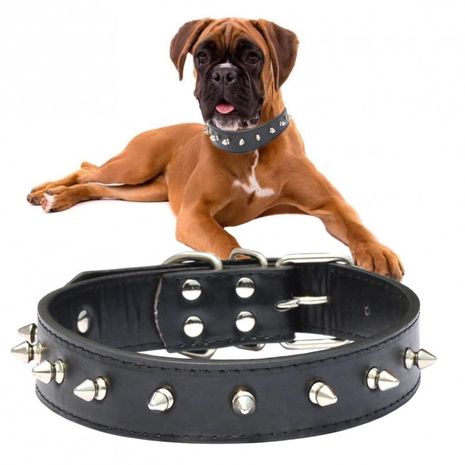 Collier stylé pour chiens avec clous