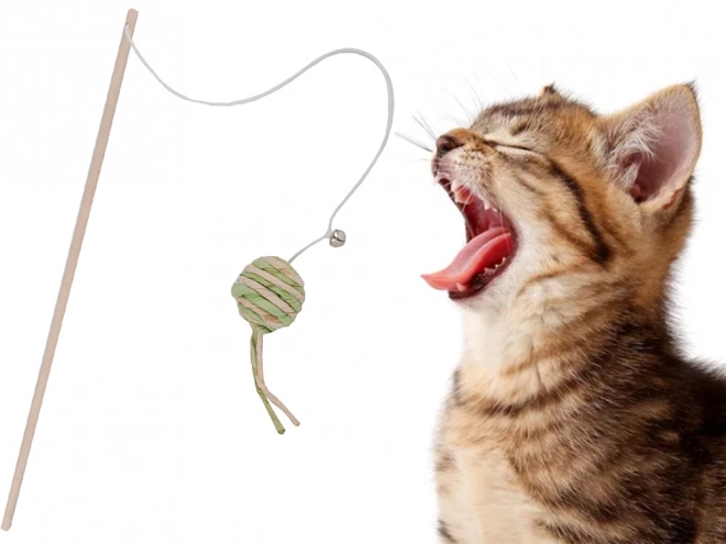 Jouet pour chats canne à pêche avec balle et grelot