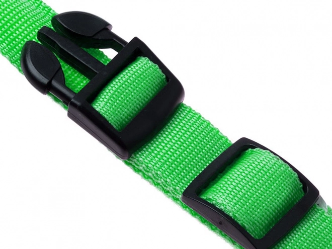 Collier lumineux LED pour chiens et chats réglable 59 cm