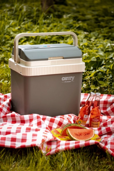 Camry Premium réfrigérateur portable avec chauffage 21 l