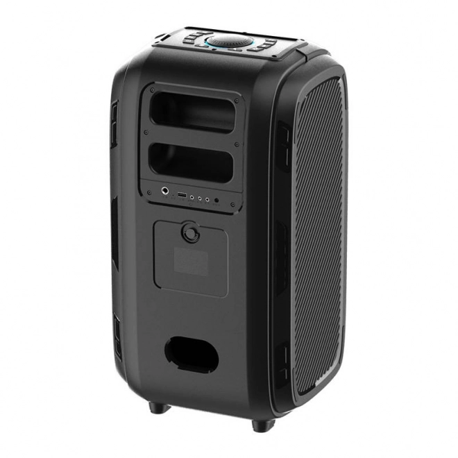 Haut-parleur sans fil Bluetooth W-KING T9 Pro 120W (noir)