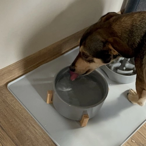 Bords relevés pour protéger le sol