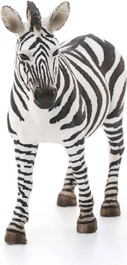 Idéale pour les collections et l’apprentissage