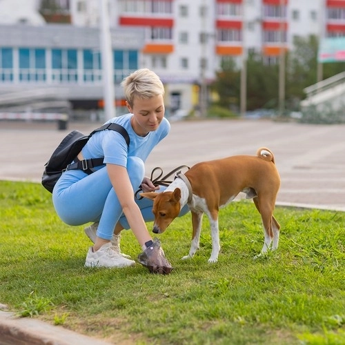 Sacs pour excréments de chien PURLOV avec distributeur