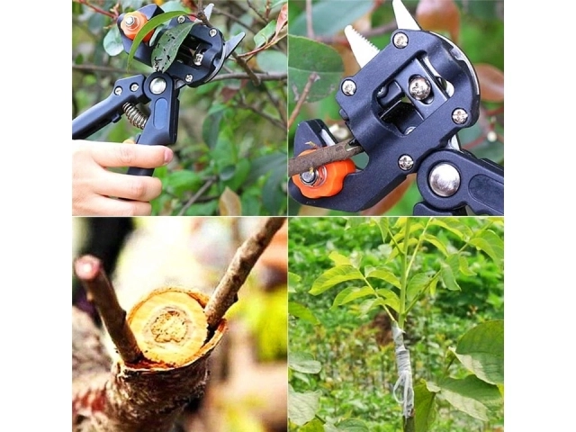 Sécateur pour greffage d'arbres et d'arbustes