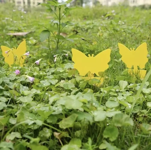 Pièges collants jaunes pour insectes 12 pcs