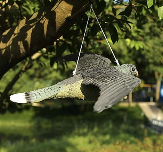 Attrape-Faucon pèlerin - Répulsif à oiseaux