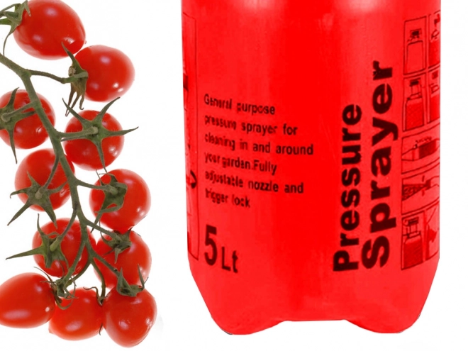 Pulvérisateur de jardin manuel à pression avec longue lance 5 l
