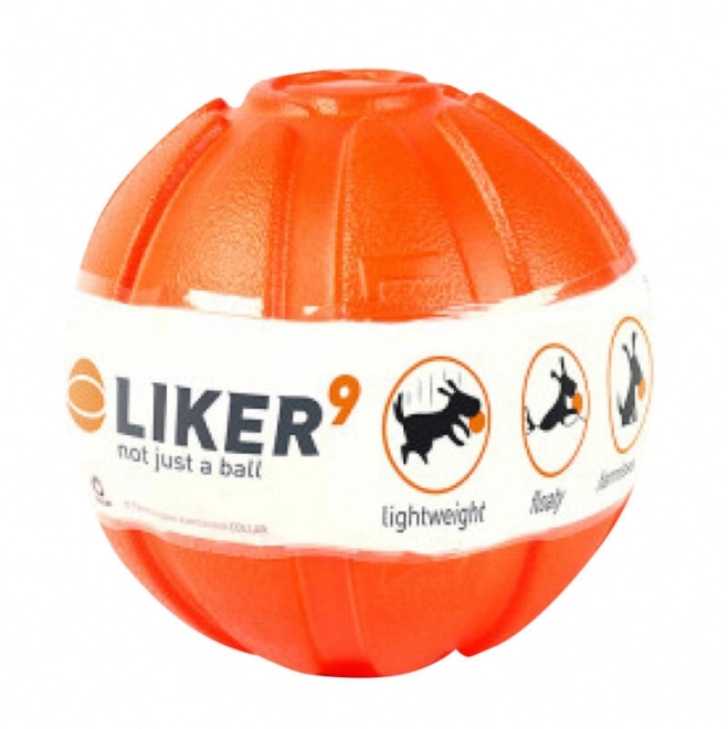 Balle pour grands chiens Liker 9 Waudog