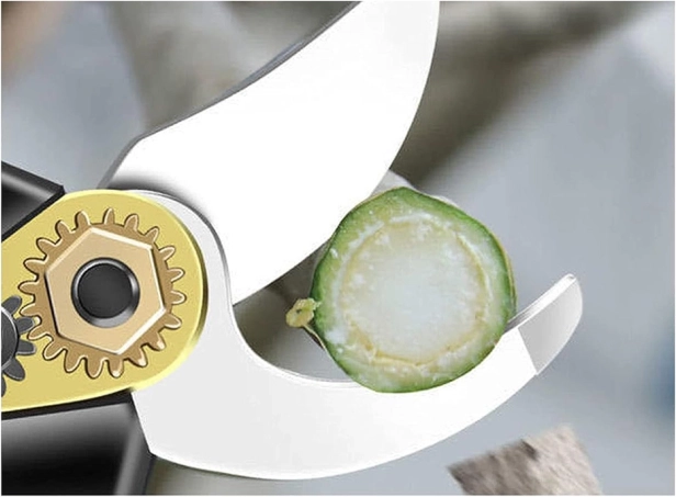 Coupe puissante avec réglage 25–30 mm