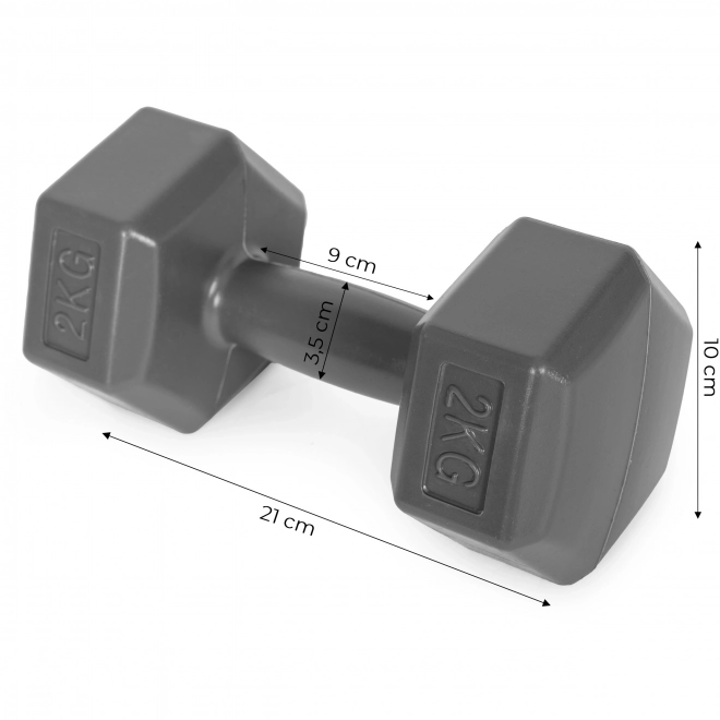 Haltères Hexagonales ModernHome 2x2 kg gris