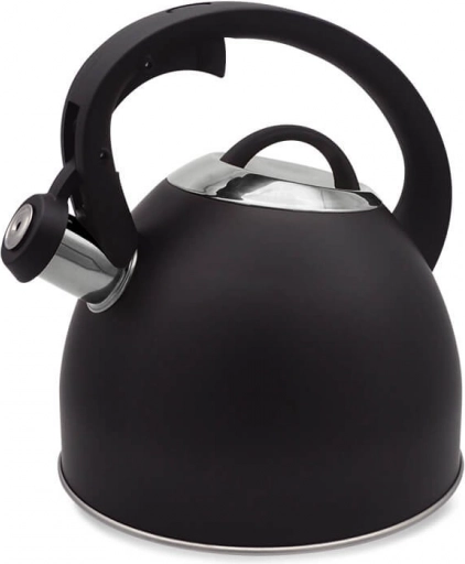 bouilloire pour cuisinière 2,5 l MAESTRO