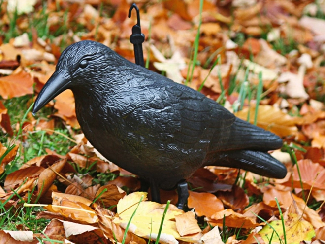 Répulsif Oiseaux Étourneaux Pigeons Rongeurs Grand XXL