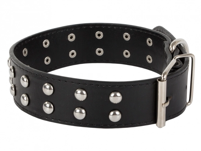 Collier ajustable pour chiens en cuir écologique avec clous métalliques