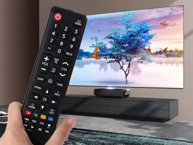 Télécommande universelle pour Samsung Smart TV