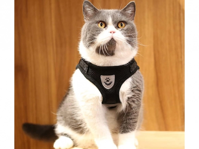 Harnais sans pression pour chiens et chats avec éléments réfléchissants XS