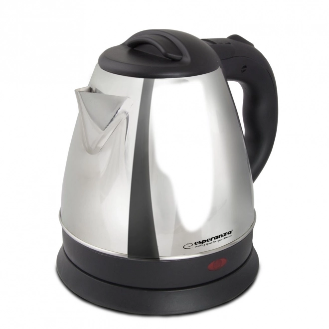 Bouilloire en argent Spring 1,0 l