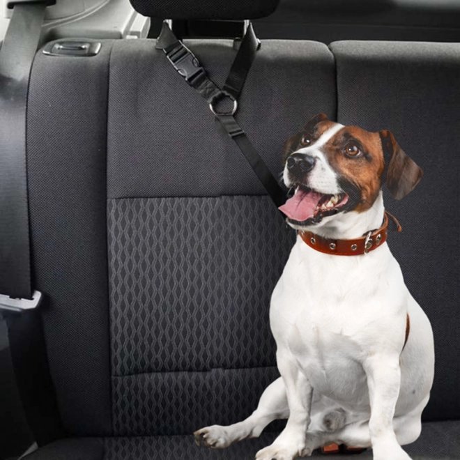 Laisse de sécurité pour ceinture de voiture pour chien et chat
