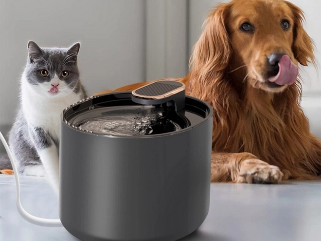 Fontaine automatique pour animaux de compagnie