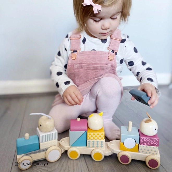 Bigjigs Bébé Train en bois avec des animaux