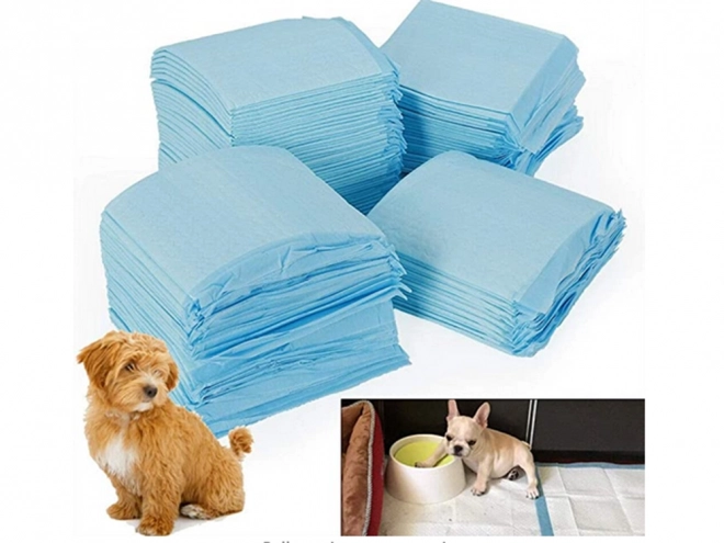 Tapis d'entraînement pour chiens 60x90 cm
