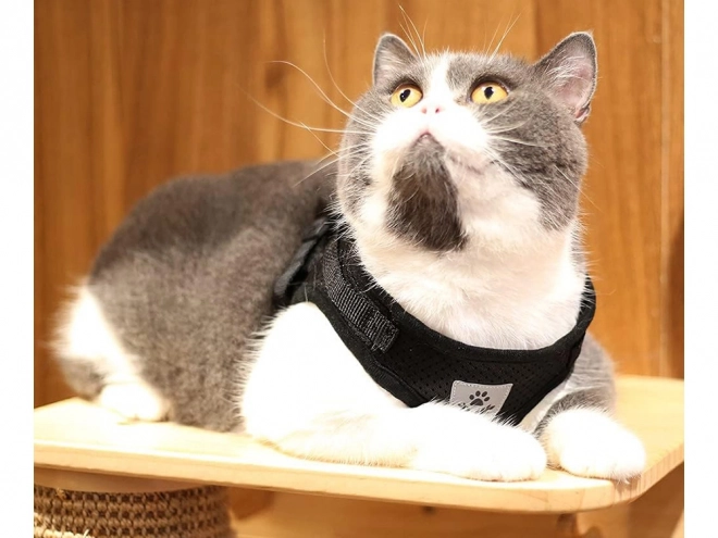Harnais sans pression pour chiens et chats avec éléments réfléchissants XS
