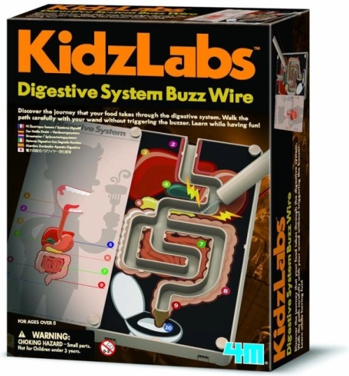 4M Système Digestif pour Enfants