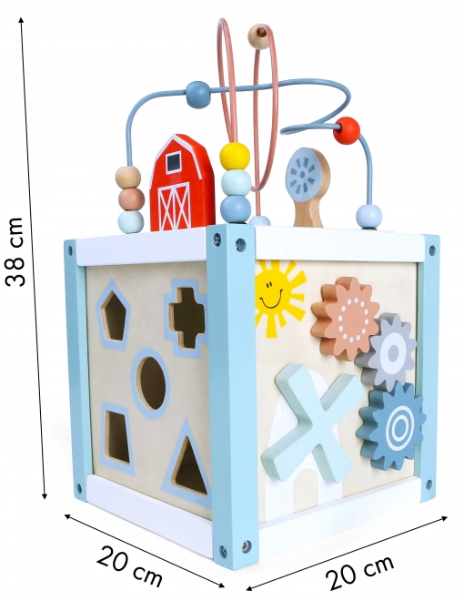 Tri de cubes en bois avec blocs Ecotoys
