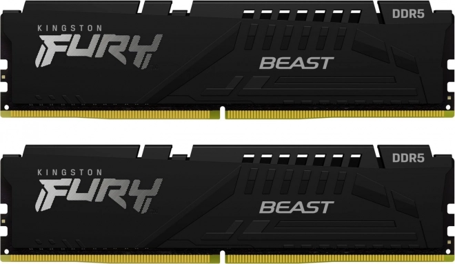 Mémoire DDR5 Fury Beast Black 64Go (2x32Go) 5200 MHz CL36 EXPO