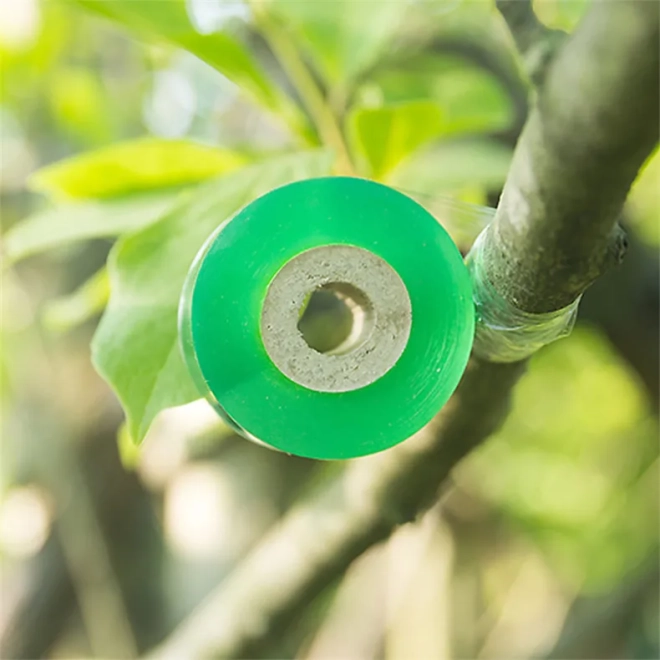Sécurisation sûre de la croissance des plantes