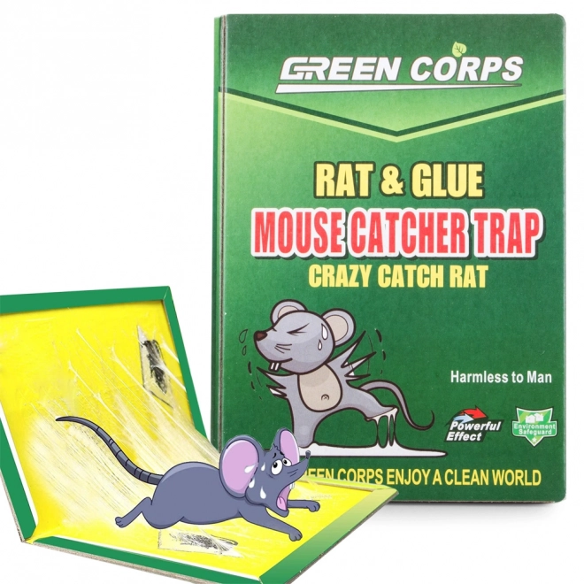 Colle piège pour souris et rats