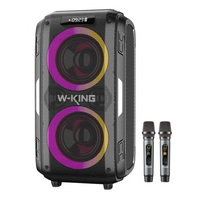 Haut-parleur sans fil Bluetooth W-KING T9 Pro 120W (noir)
