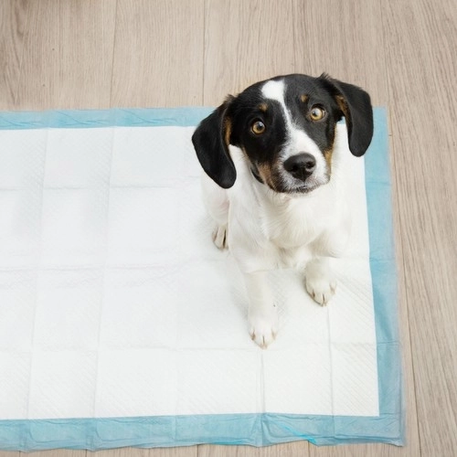 Tapis hygiénique 60x90cm 50 pcs