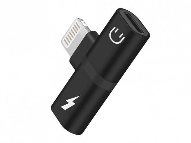 Adaptateur Lightning pour iPad et iPhone 2 en 1