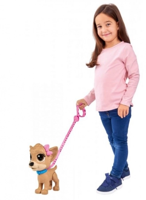 CCL Pejsek Chihuahua Pii Pii
