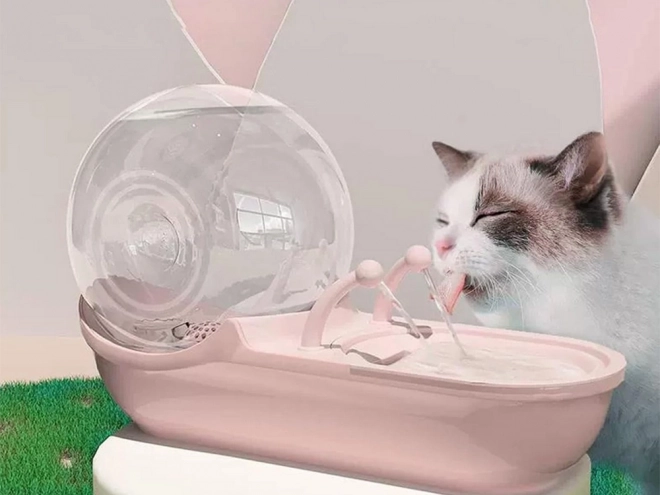 Fontaine automatique pour chats et chiens