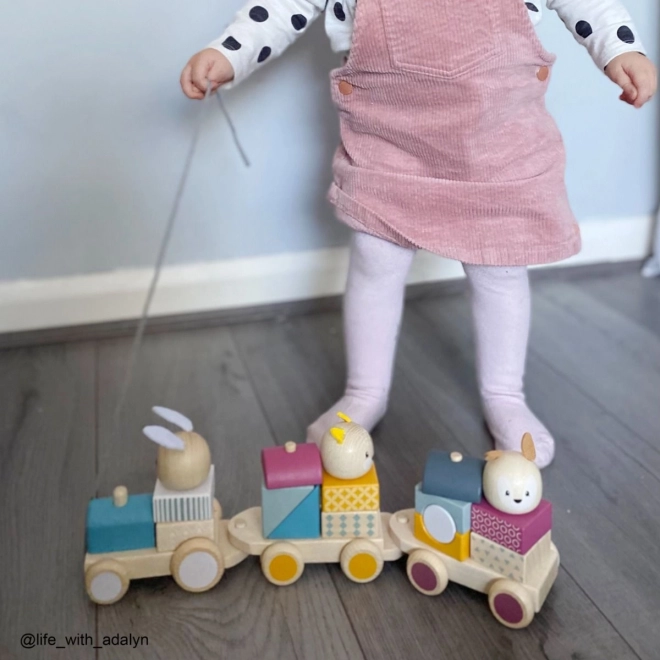 Bigjigs Bébé Train en bois avec des animaux