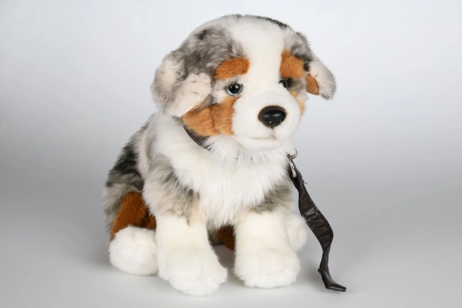 Berger Australien en Peluche avec Laisse