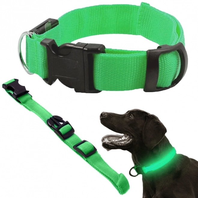 Collier lumineux LED pour chiens et chats réglable 59 cm