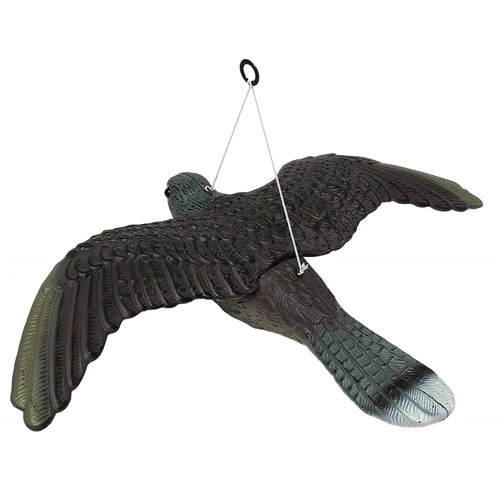 Attrape-Faucon pèlerin - Répulsif à oiseaux