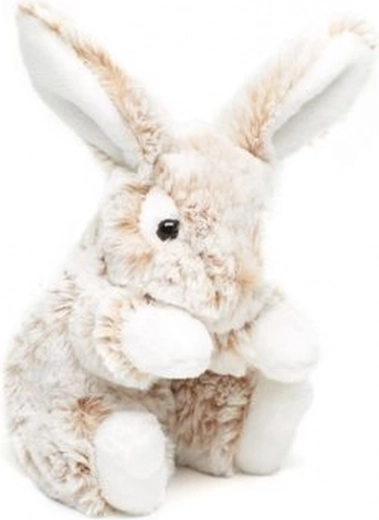 Taille idéale 20 cm