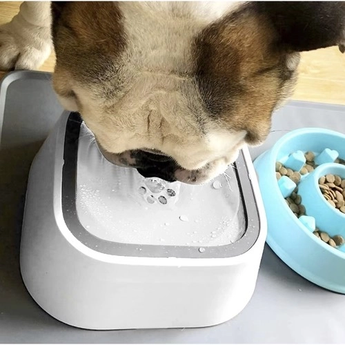 Bols d'eau pour chiens et chats avec fonction anti-éclaboussure - Set de 2 pièces