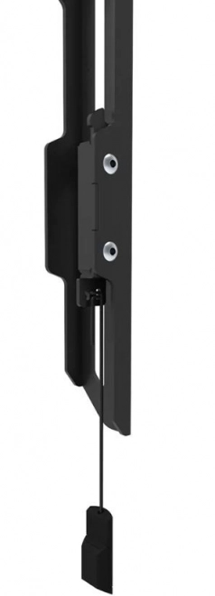 Support TV extensible Neomounts 40-75 pouces