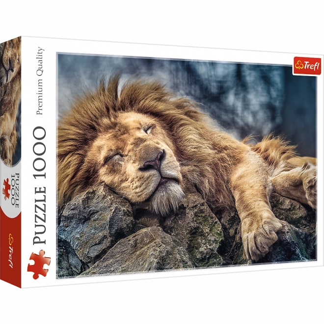 Puzzle Lion Endormi 1000 pièces dans une boîte 40x27x6cm