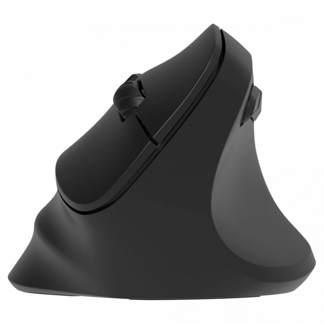 Souris ergonomique sans fil pour droitiers, batterie rechargeable Dual WL+BT