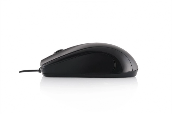 Souris optique filaire Logic LM-12
