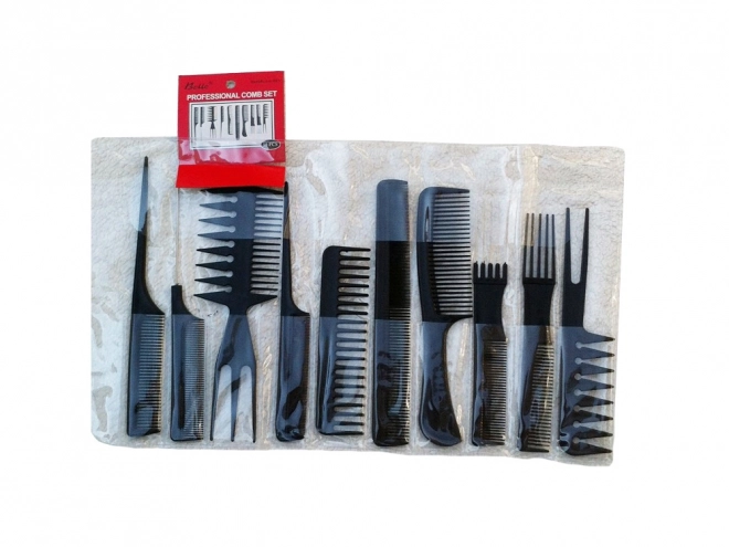 Ensemble de peignes de coiffure avec étui