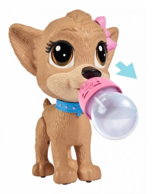 CCL Pejsek Chihuahua Pii Pii
