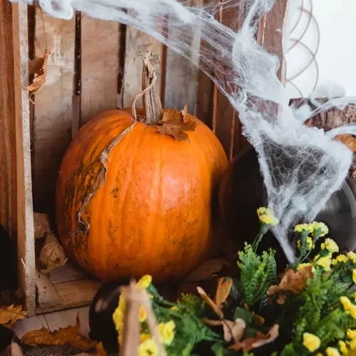 Toile d'araignée artificielle d'Halloween avec araignées